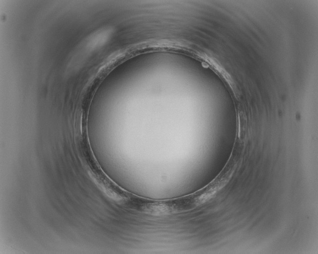 X0000081280253200701251635