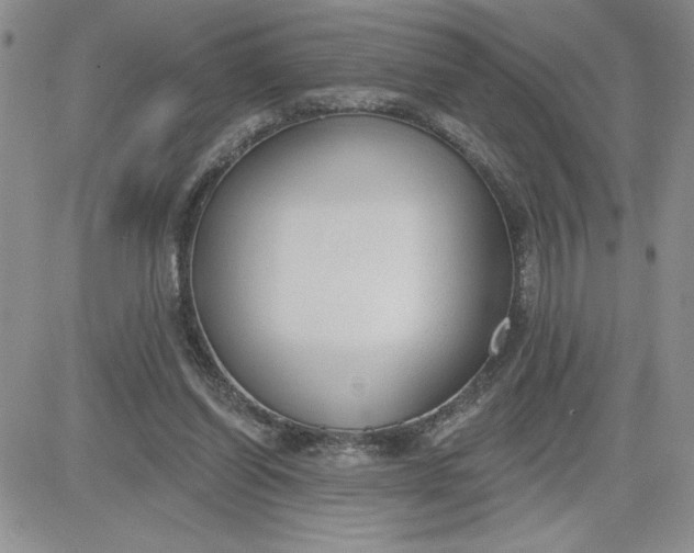 X0000081280254200701251635