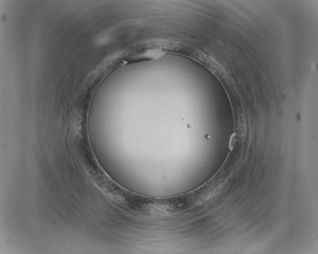 X0000081280255200701251635