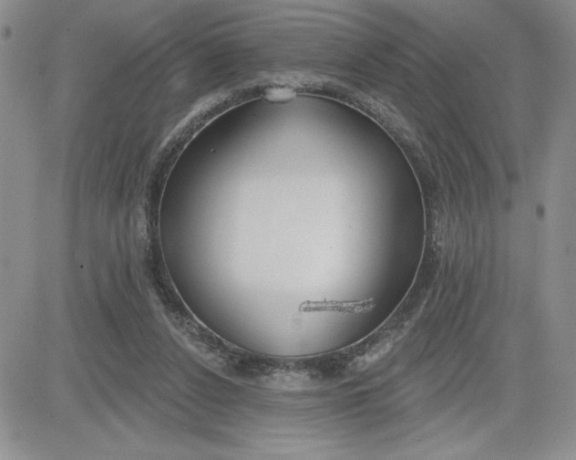 X0000081280256200701251635