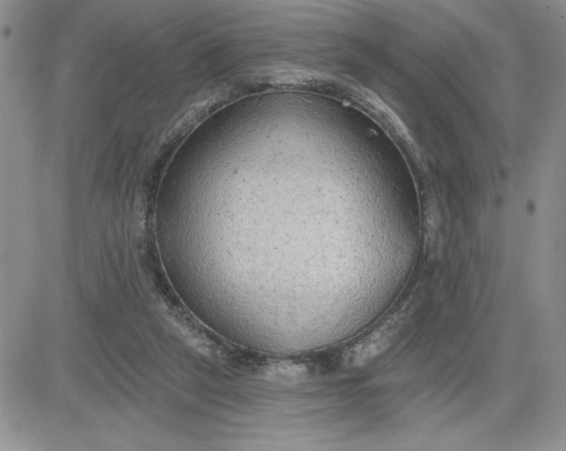 X0000081280257200701251635