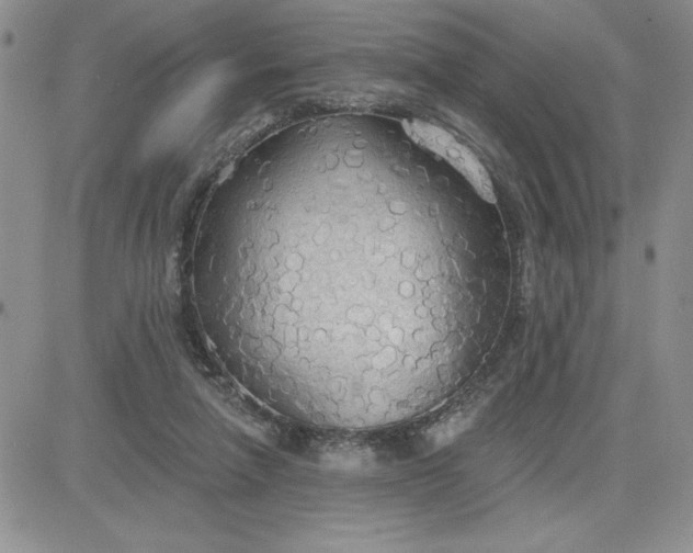 X0000081280258200701251635