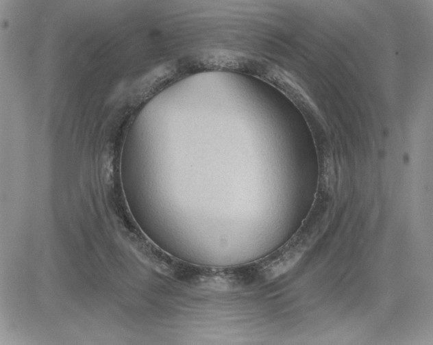 X0000081280259200701251635