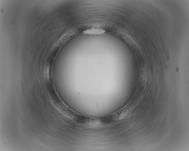 X0000081280262200701251635