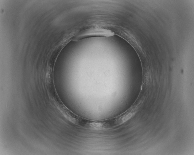 X0000081280265200701251635