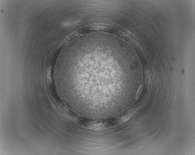 X0000081280267200701251635