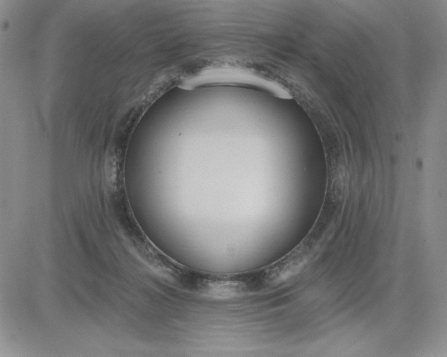 X0000081280268200701251635