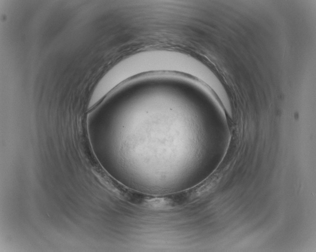 X0000081280269200701251635