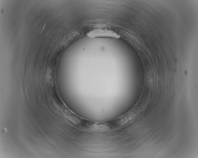 X0000081280270200701251635