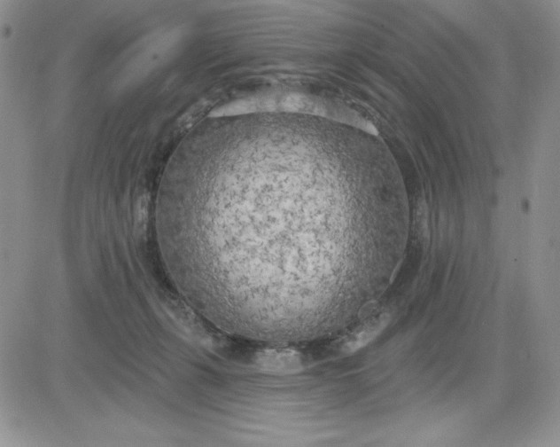 X0000081280271200701251635