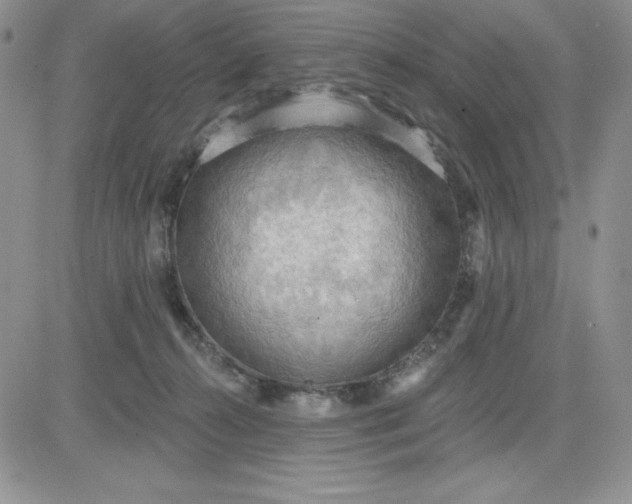 X0000081280272200701251635