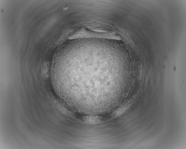 X0000081280273200701251635