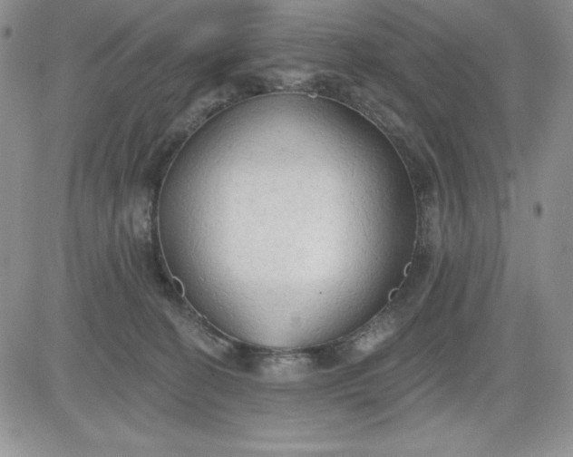 X0000081280274200701251635