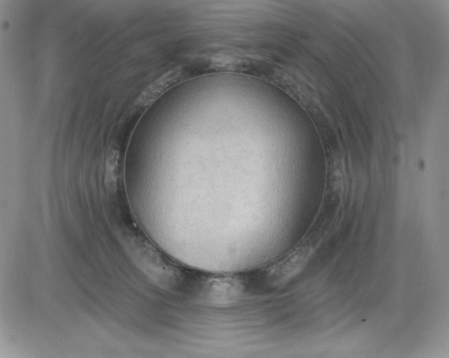 X0000081280275200701251635