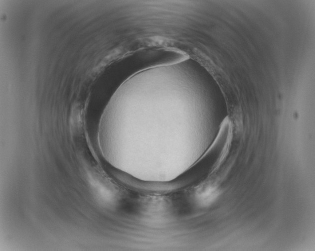 X0000081280276200701251635