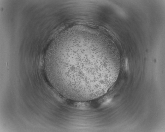 X0000081280277200701251635