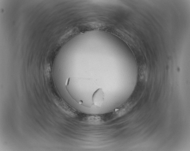 X0000081280279200701251635