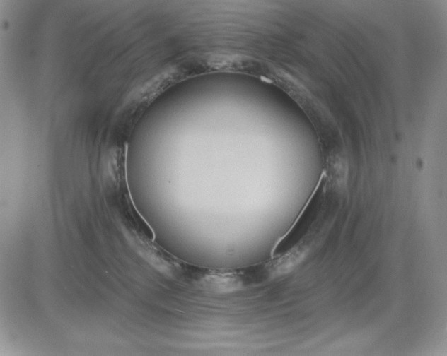 X0000081280280200701251635