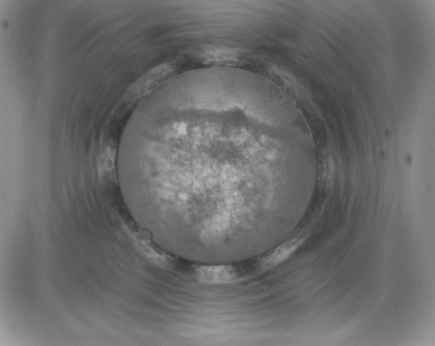 X0000081280281200701251635