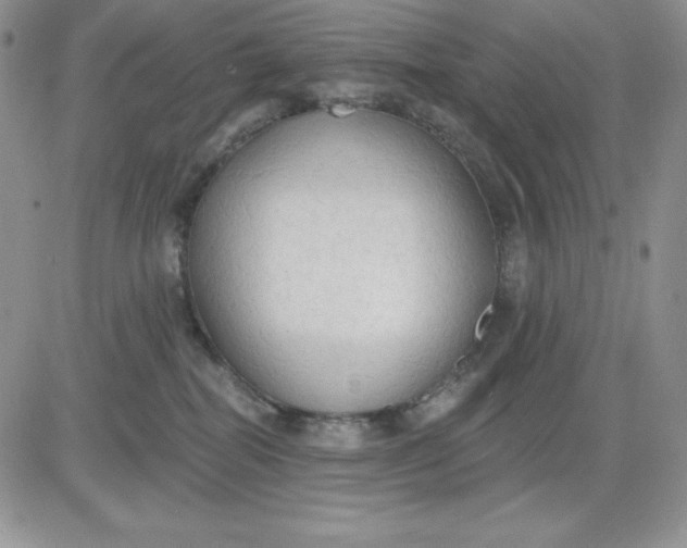 X0000081280282200701251635