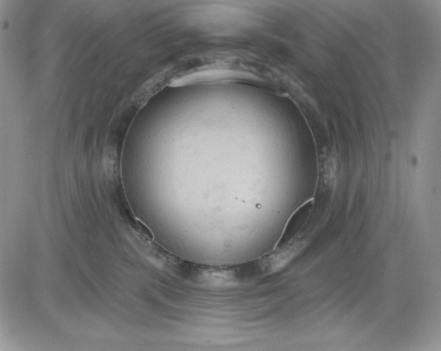 X0000081280283200701251635