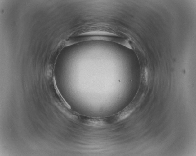 X0000081280284200701251635