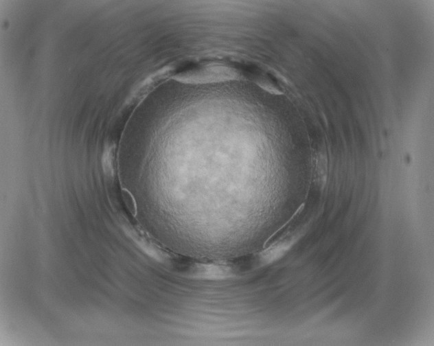 X0000081280286200701251635