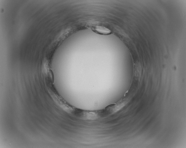 X0000081280287200701251635