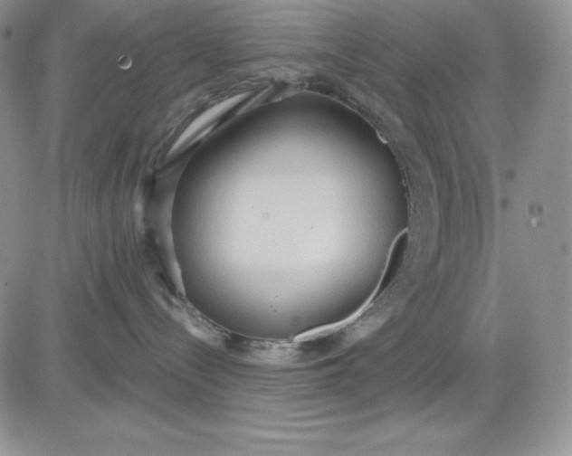 X0000081280288200701251635