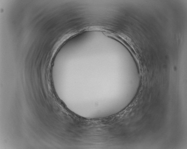 X0000081280289200701251635