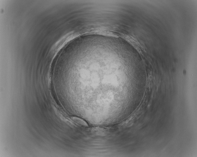 X0000081280290200701251635