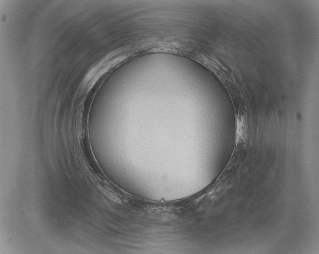 X0000081280291200701251635