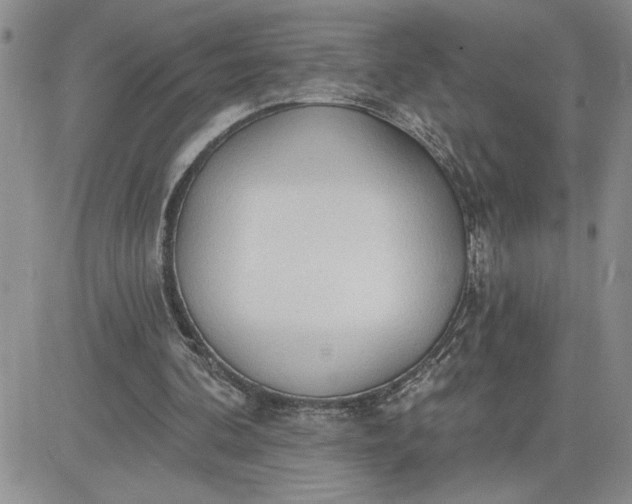 X0000081280292200701251635