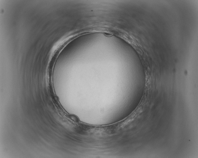 X0000081280294200701251635