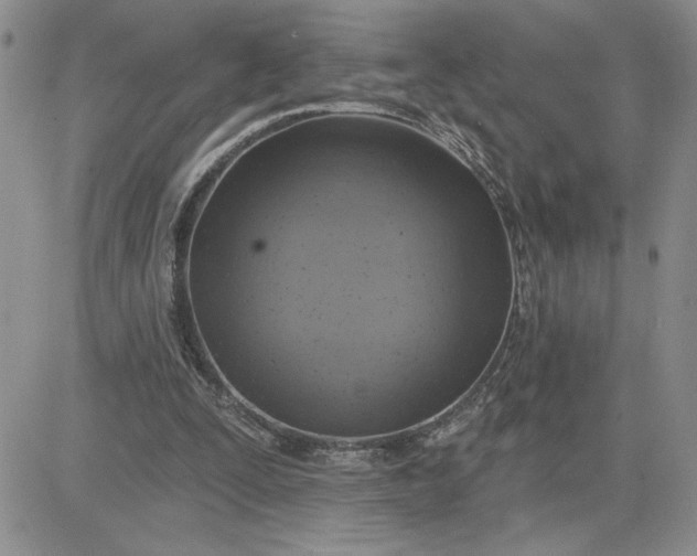 X0000081280295200701251635