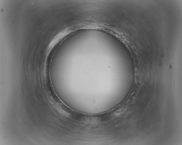 X0000081280296200701251635