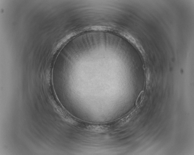 X0000081280297200701251635