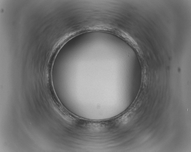 X0000081280298200701251635