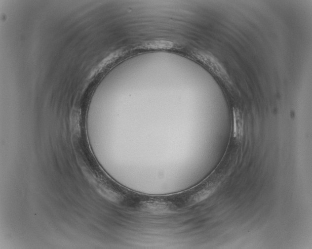 X0000081280300200701251635