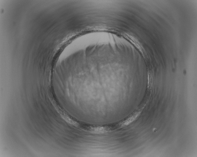 X0000081280301200701251635