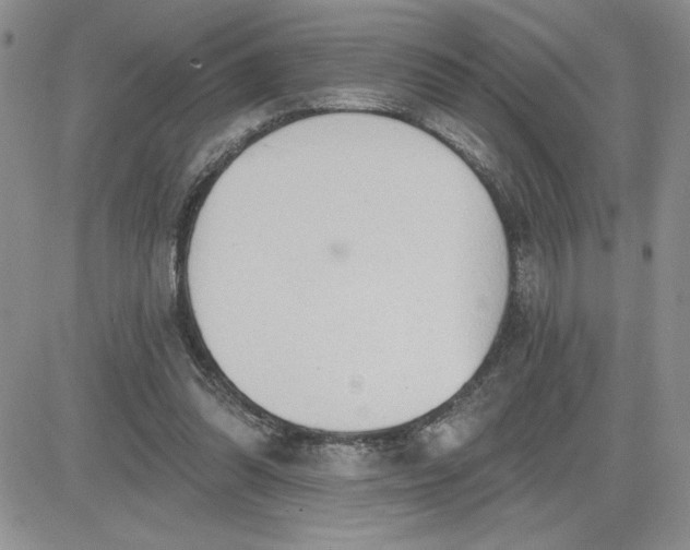 X0000081280302200701251634