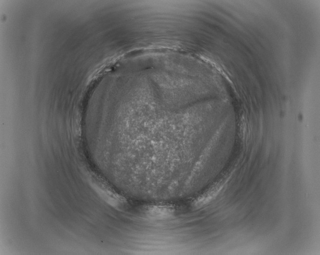 X0000081280303200701251634