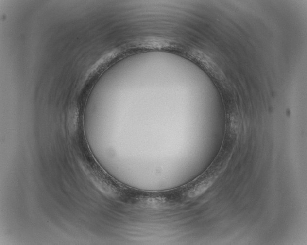 X0000081280304200701251634