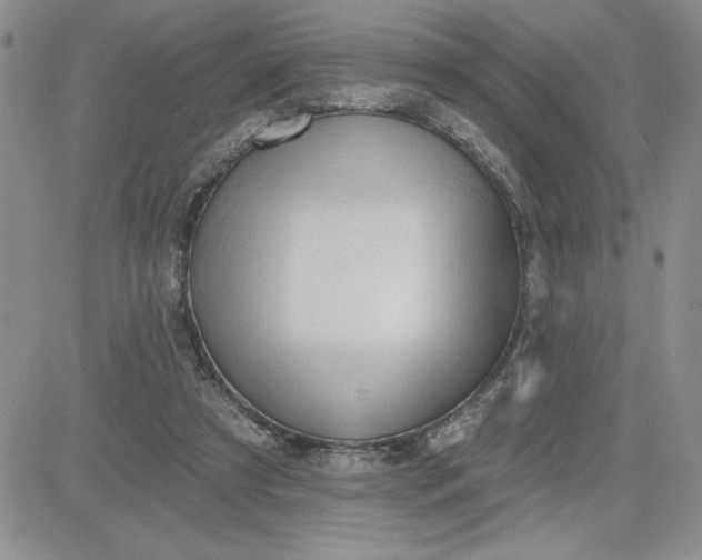 X0000081280305200701251634