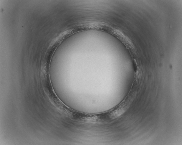 X0000081280306200701251634