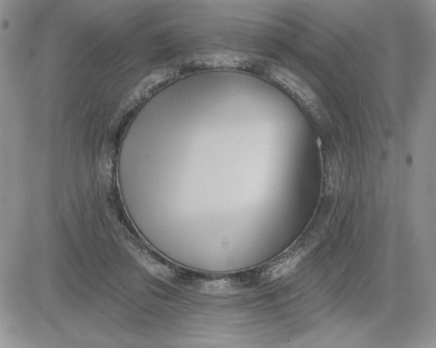 X0000081280309200701251634