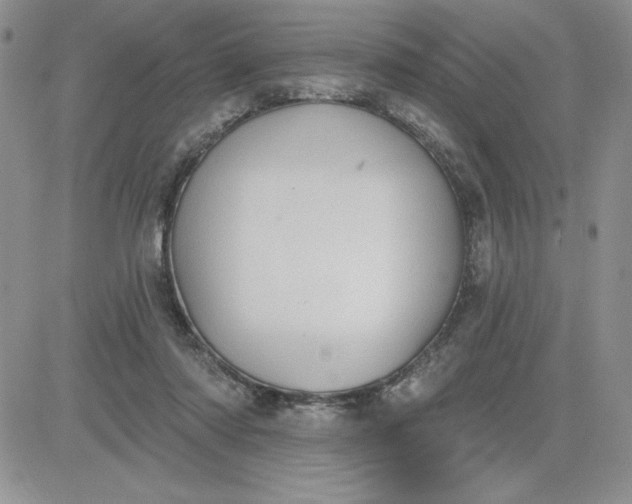 X0000081280310200701251634