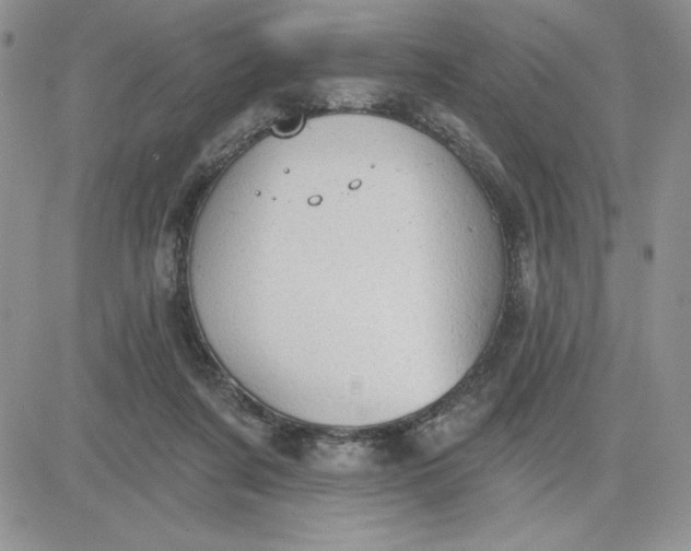 X0000081280311200701251634