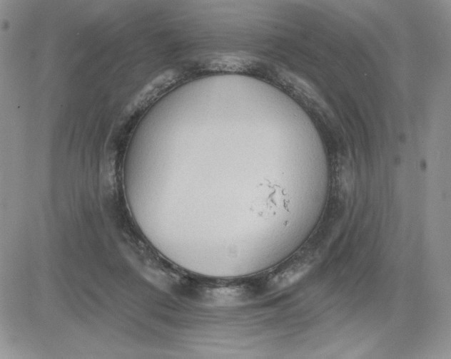 X0000081280312200701251634