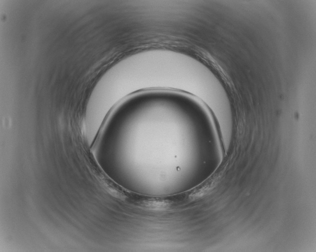 X0000081280313200701251634